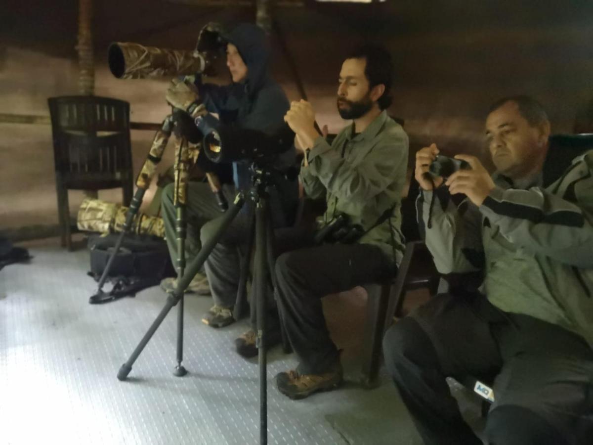 Bosque De Niebla Birding & Nature Cali Exterior photo