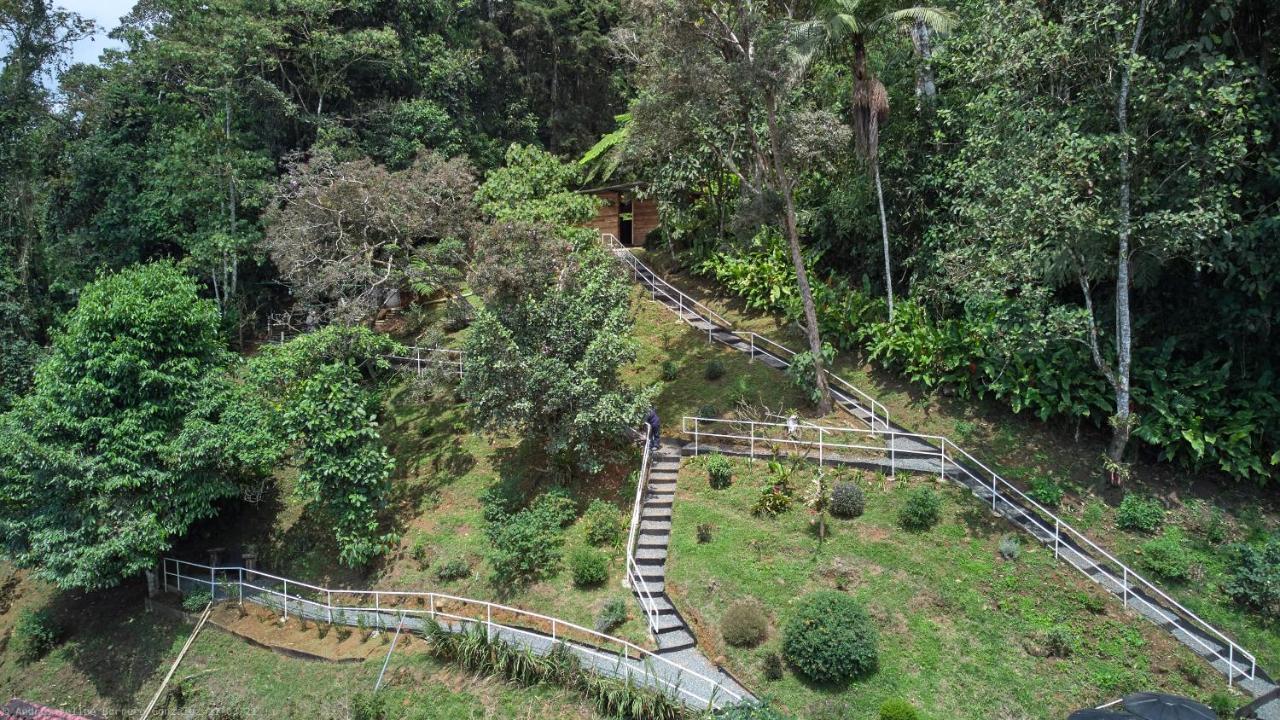 Bosque De Niebla Birding & Nature Cali Exterior photo